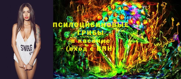 дживик Алексин