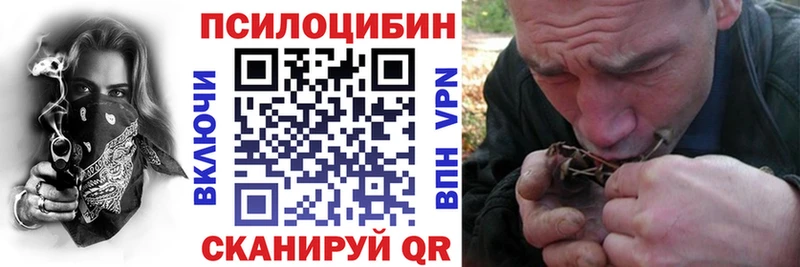 Псилоцибиновые грибы Psilocybine cubensis  гидра сайт  Фатеж 